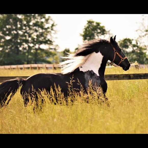 Jessica - Picture 4 of 8